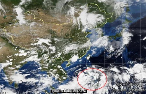 《红霞岛》全特效配置要求?速看! 《红霞岛》全特效配置要求?速看!