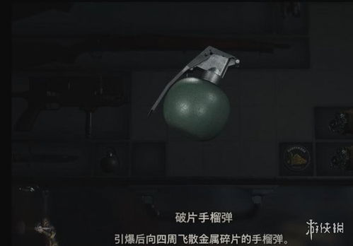 《生化4重制版》闪退怎么办?快速解决攻略 《生化4重制版》闪退怎么办?快速解决攻略