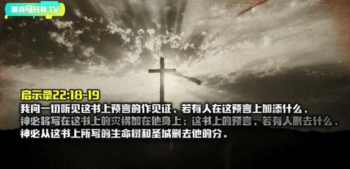 《潜行者2》科学家储藏点揭秘:揭秘神秘位置! 《潜行者2》科学家储藏点揭秘:揭秘神秘位置!