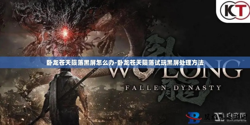 《卧龙苍天陨落》试玩版黑屏解决攻略