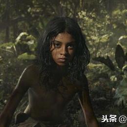 《森林之子》配置一览：最低配置玩转攻略