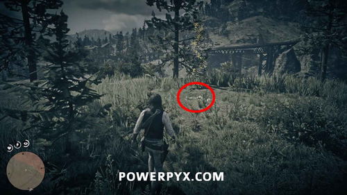 《荒野大镖客2》恐龙骨全收集攻略! 《荒野大镖客2》恐龙骨全收集攻略!