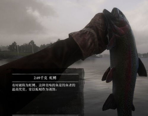 《荒野大镖客2》钓鱼攻略:全鱼类地点速查 《荒野大镖客2》钓鱼攻略:全鱼类地点速查