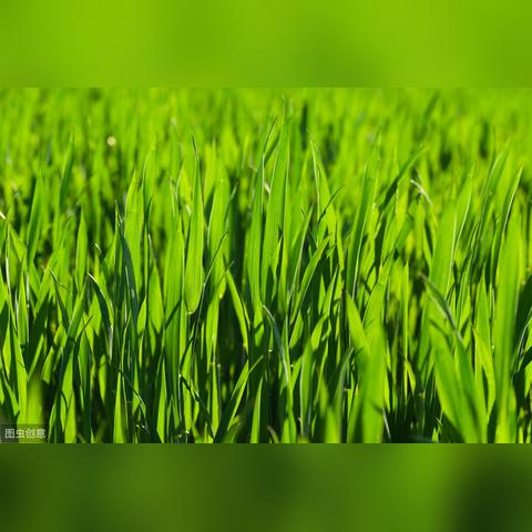 《异环》首测角色养成系统，如何轻松提升战斗力？