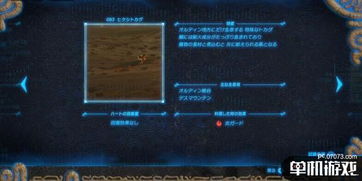 塞尔达风咒盖侬攻略，快速通关技巧