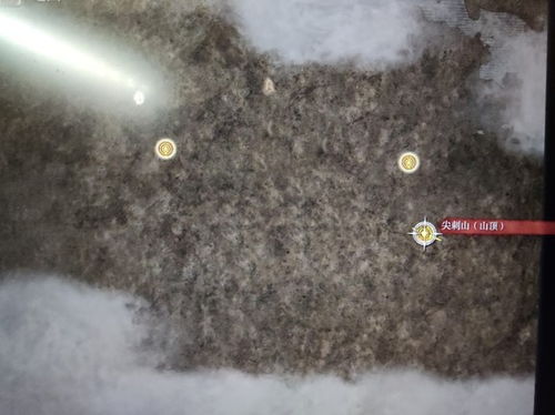 艾尔登法环狂龙贝勒攻略详解