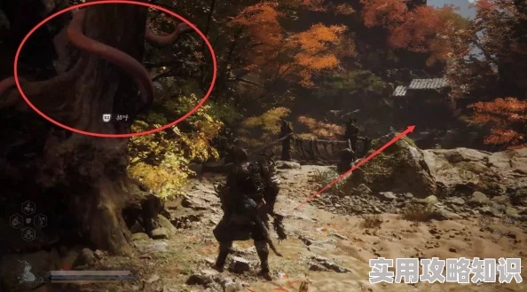 《黑神话悟空》毒敌大王位置揭秘 《黑神话悟空》毒敌大王位置揭秘