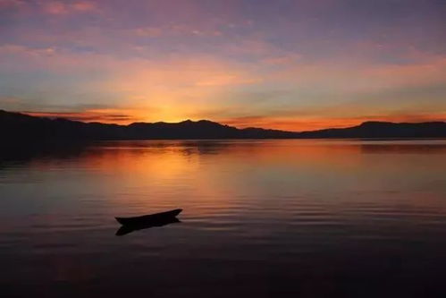 《潜行者2》新手必看！实用技巧助你畅玩切尔诺贝利