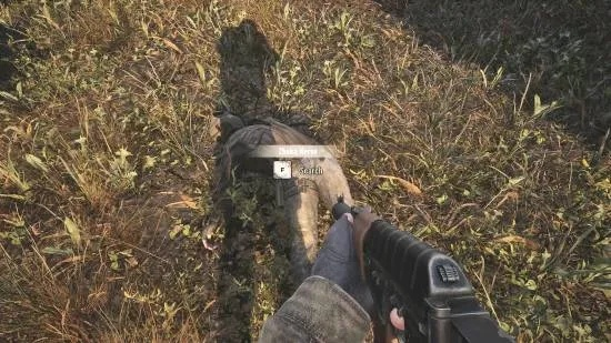 潜行者2配件获取：4倍镜位置攻略