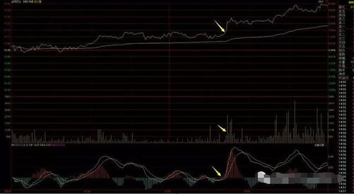 三角洲行动A点攻略:实战点位揭秘 三角洲行动A点攻略:实战点位揭秘