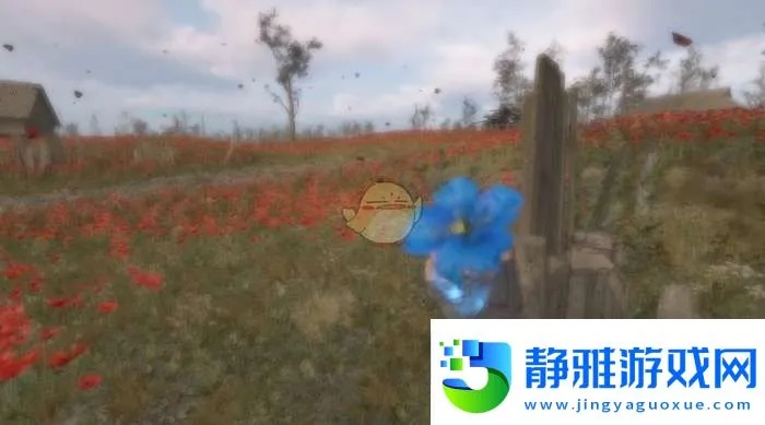 《潜行者2》怪异花获取攻略,快速获取方法揭秘 《潜行者2》怪异花获取攻略,快速获取方法揭秘