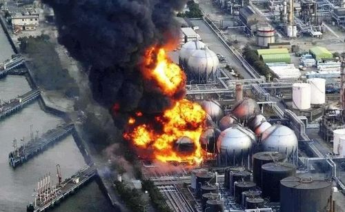 《潜行者2》变异狗攻略：高效打法技巧揭秘