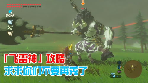 塞尔达传说全流程攻略,快速通关秘诀! 塞尔达传说全流程攻略,快速通关秘诀!