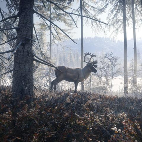 《怪物猎人荒野》售价揭晓：游戏价格是多少？