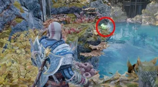 战神5奥丁渡鸦在哪？奥尔范格湿地位置揭晓