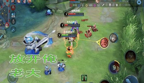 S13赌狗阵容攻略：快速上分秘诀