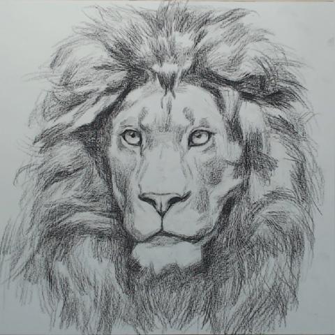 DNF手游签到福利!领2符+20强化器,炭不够? DNF手游签到福利!领2符+20强化器,炭不够?