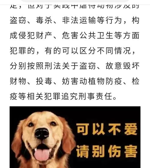 三男一狗作弊门引争议，T2起诉海外平台，平台安全如何保障？