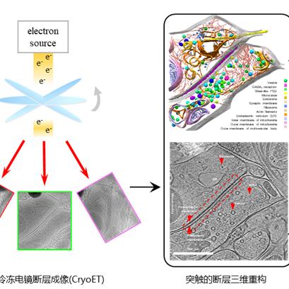 绝区零断层密码位置+触发方法+作用揭秘 绝区零断层密码位置+触发方法+作用揭秘