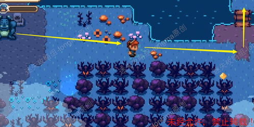 星轨龙牧卡组攻略：构筑与优化技巧