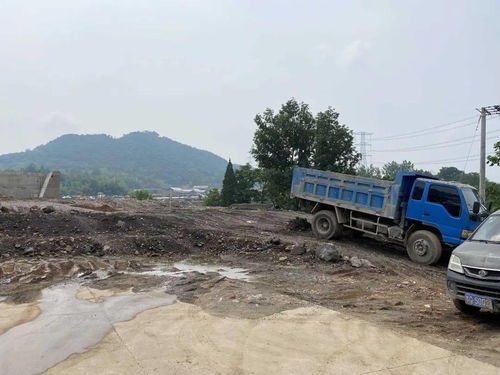 暗喻三龙攻略：高效配置破解难题