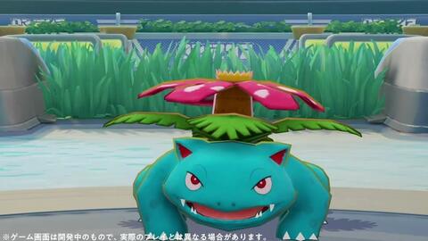 宝可梦集结白蓬蓬攻略:技能组+持有物推荐 宝可梦集结白蓬蓬攻略:技能组+持有物推荐