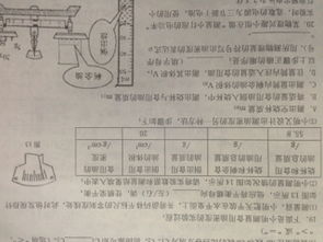 物理队毕业配置揭秘：阿基态+装备推荐！