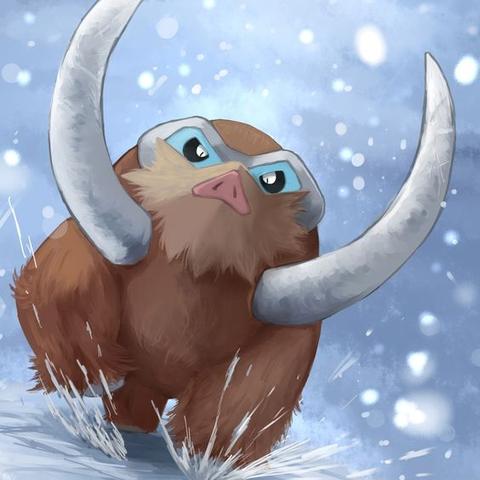 宝可梦象牙猪技能搭配攻略 宝可梦象牙猪技能搭配攻略