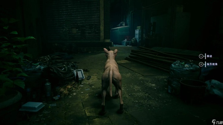 《野狗子》玩法揭秘:轻松上手,告别新手困境 《野狗子》玩法揭秘:轻松上手,告别新手困境