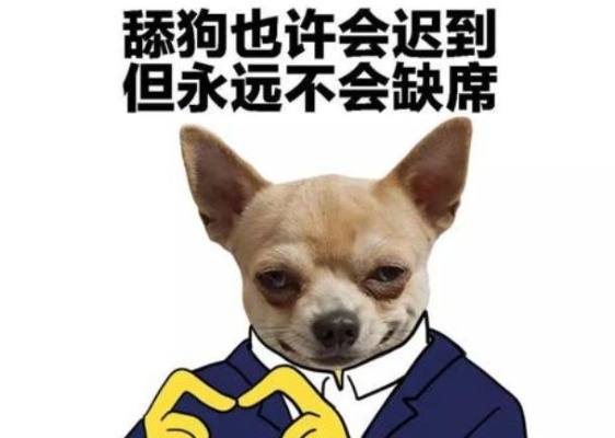 《舔狗》全流程揭秘：如何摆脱舔狗命运？