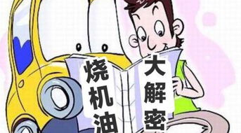 暗喻幻想小偷强度揭秘：如何轻松应对？