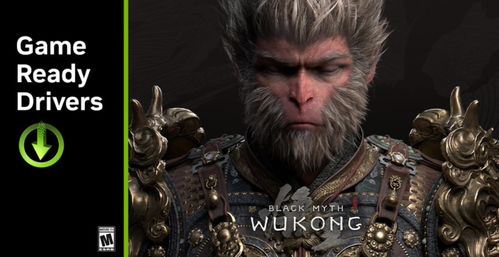 《黑神话悟空》刷经验攻略：快速升级秘籍！