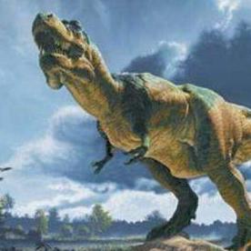 《命运方舟》帮手与斗士占比揭秘！助你轻松升级