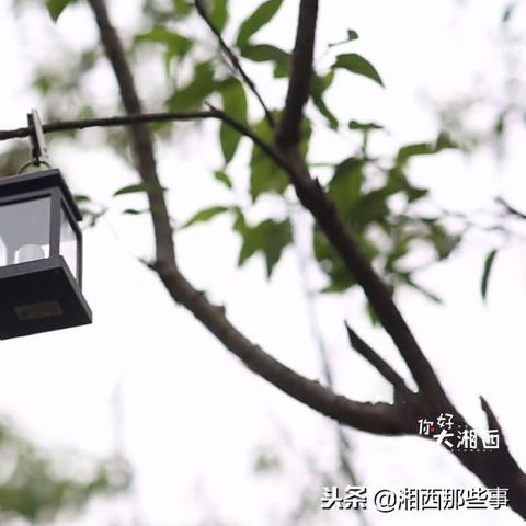 古镇闲居Beta试玩:体验升级,解决你的居住痛点 古镇闲居Beta试玩:体验升级,解决你的居住痛点