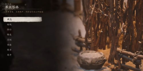 《黑神话悟空》玲珑内丹刷取攻略 《黑神话悟空》玲珑内丹刷取攻略