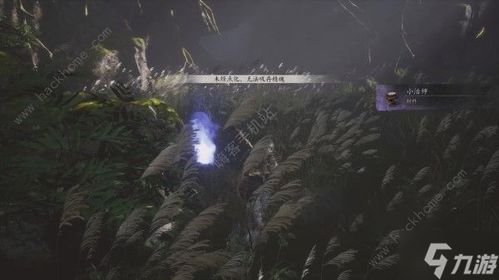 黑神话悟空全精魄攻略,快速收集无烦恼 黑神话悟空全精魄攻略,快速收集无烦恼