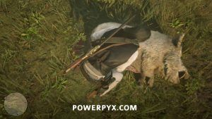 《荒野大镖客》捕猎大师攻略，动物位置速查！