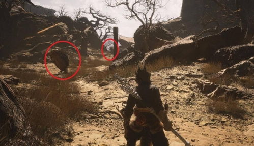 《黑神话悟空》玲珑内丹速刷法 《黑神话悟空》玲珑内丹速刷法