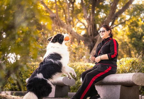 三男一狗PC版试玩：重温经典，今日依旧畅玩？