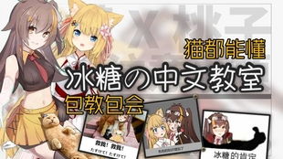 绝区零怪奇旅伴咬咬攻略,快速提升实力! 绝区零怪奇旅伴咬咬攻略,快速提升实力!