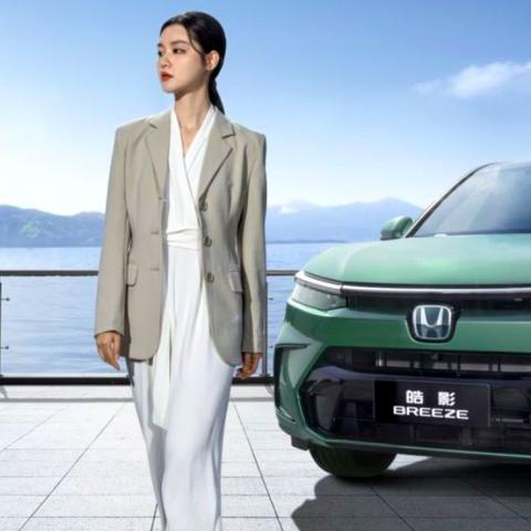 怪物猎人荒野绯红森林生态揭秘：如何生存？