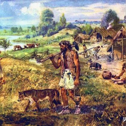 《庄园领主》1年变大型村攻略：快速升级秘诀