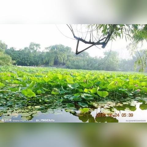 游戏大甩卖！春促史低新佳作，哪款必玩？