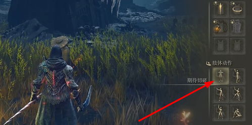 艾尔登法环落叶格斗术获取攻略 艾尔登法环落叶格斗术获取攻略