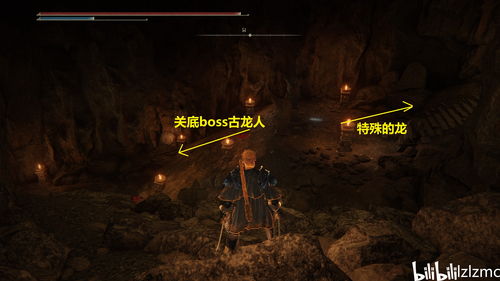 艾尔登法环黄金树之影DLC灵庙位置速查