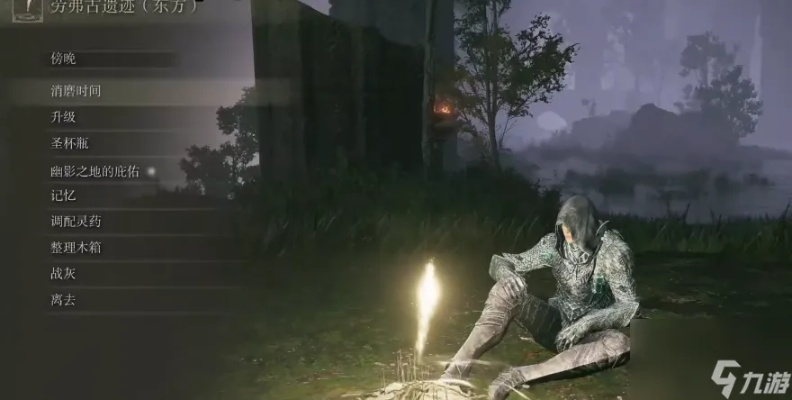 艾尔登法环幽影树碎片速收攻略