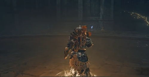 艾尔登法环DLC双月骑士攻略，黄金树之影配装解析