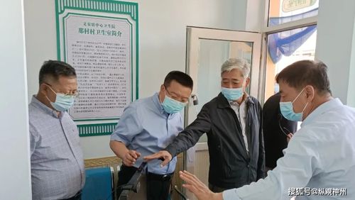 全职业麦乐兽宠物推荐，选对提升效率