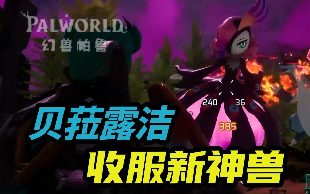 幻兽帕鲁极贝菈露洁攻略,快速通关技巧 幻兽帕鲁极贝菈露洁攻略,快速通关技巧