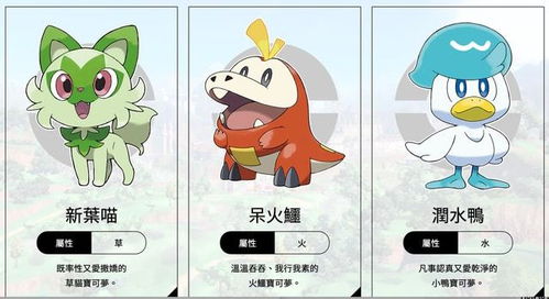 宝可梦朱紫G晴天固拉多队分享，如何组建？